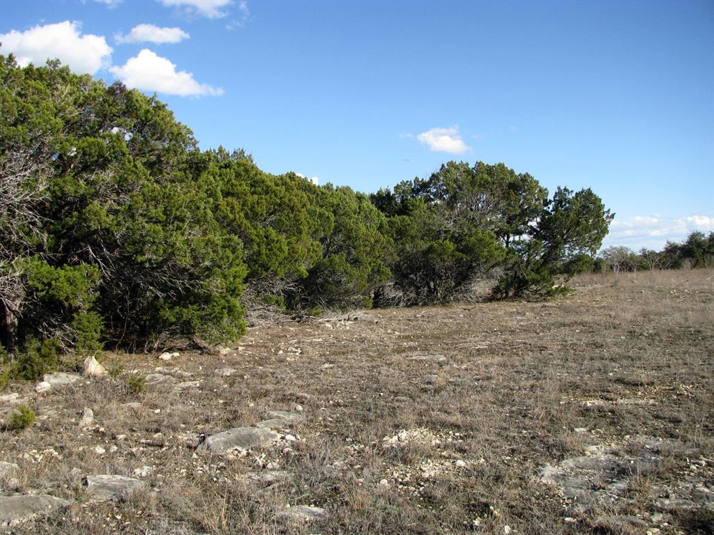 675 Fossil Rdg Court Evant, TX 76525 - Photo 8 of 26 a view of a yard with a tree