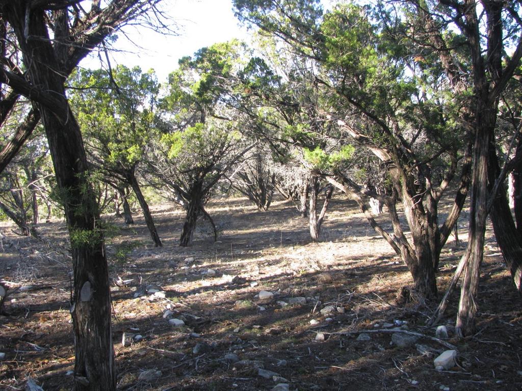 675 Fossil Rdg Court Evant, TX 76525 - Photo 9 of 26 a view of yard with trees
