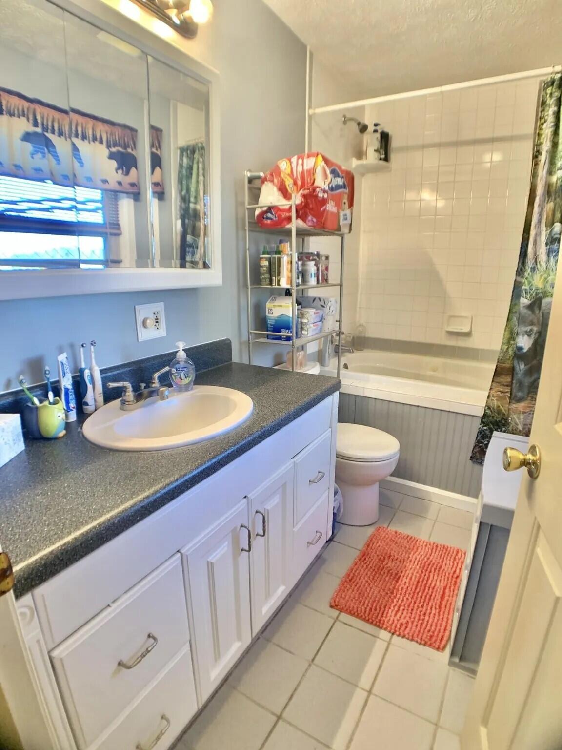 7150 Mill Branch Road Covington, VA 24426 - Photo 18 of 29 lowerbathroom