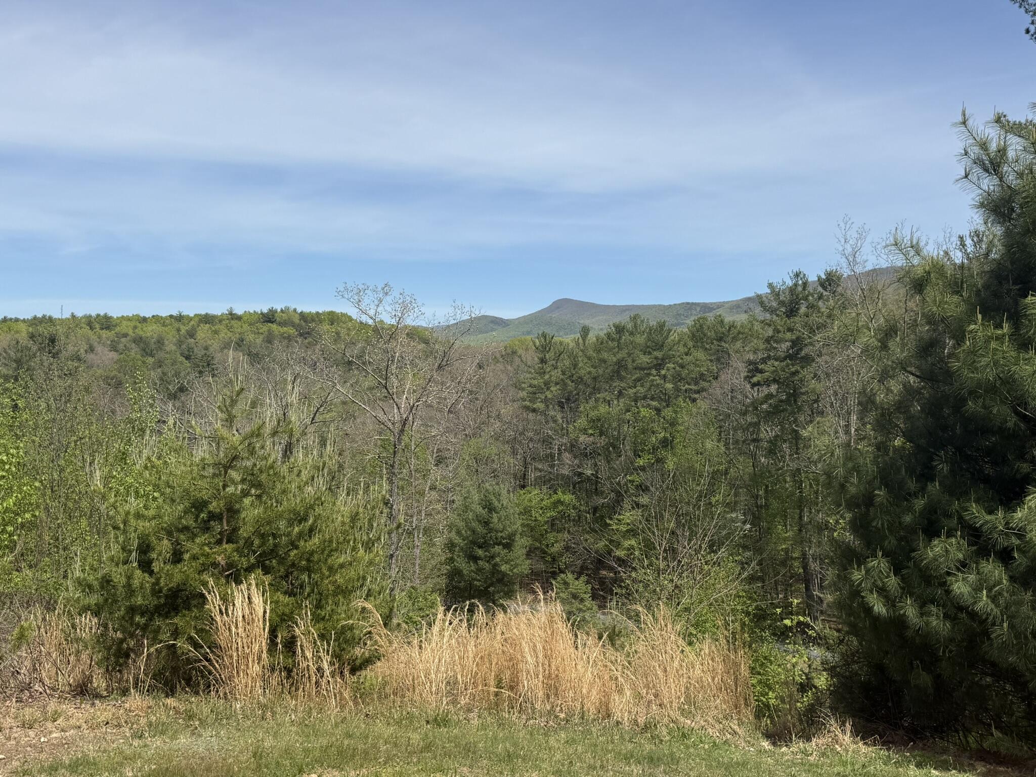 7150 Mill Branch Road Covington, VA 24426 - Photo 25 of 29 IMG_1615