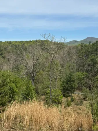 $249,000 | 7150 Mill Branch Road, Covington, VA 24426