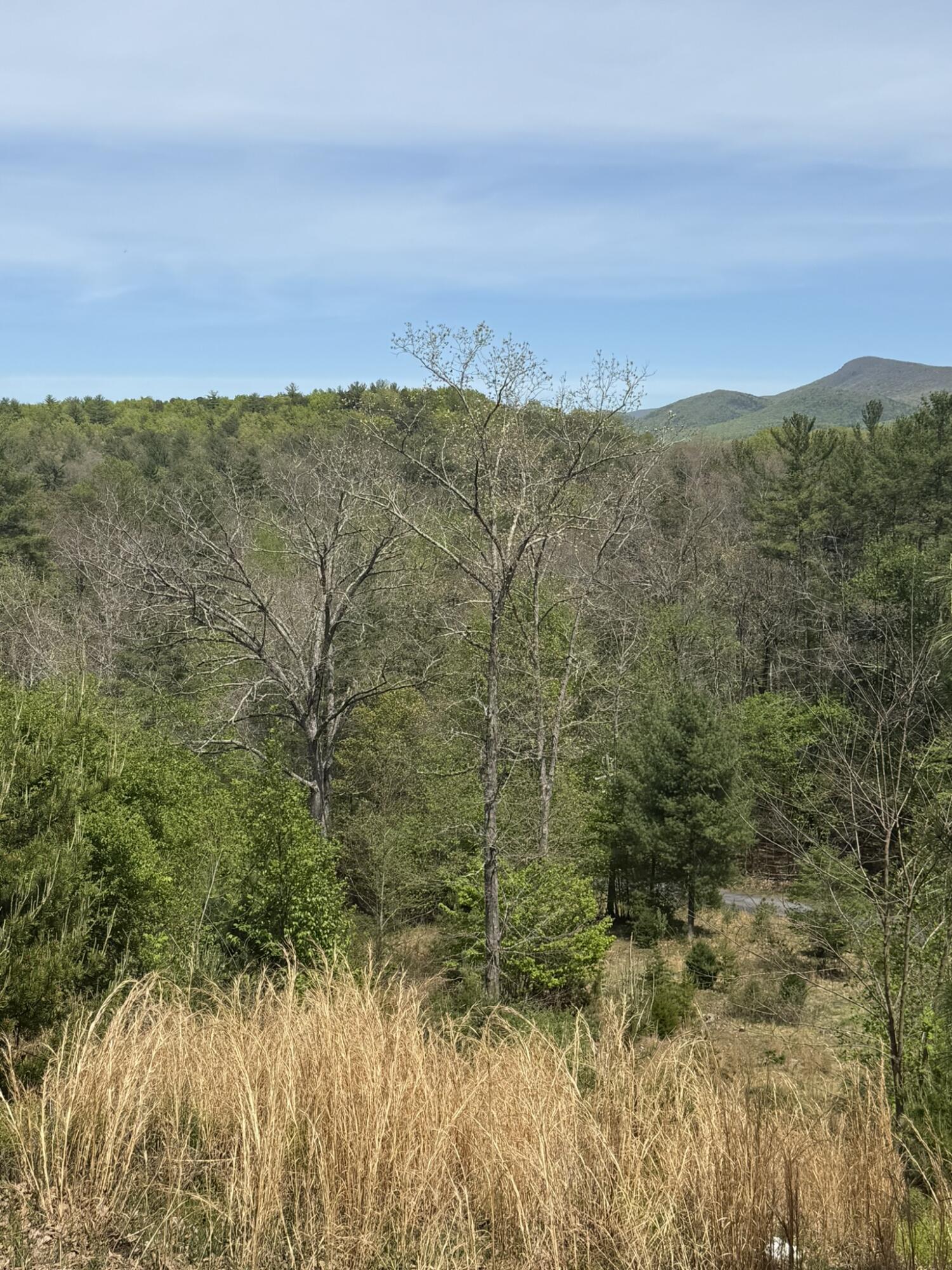 7150 Mill Branch Road Covington, VA 24426 - Photo 26 of 29 IMG_1616
