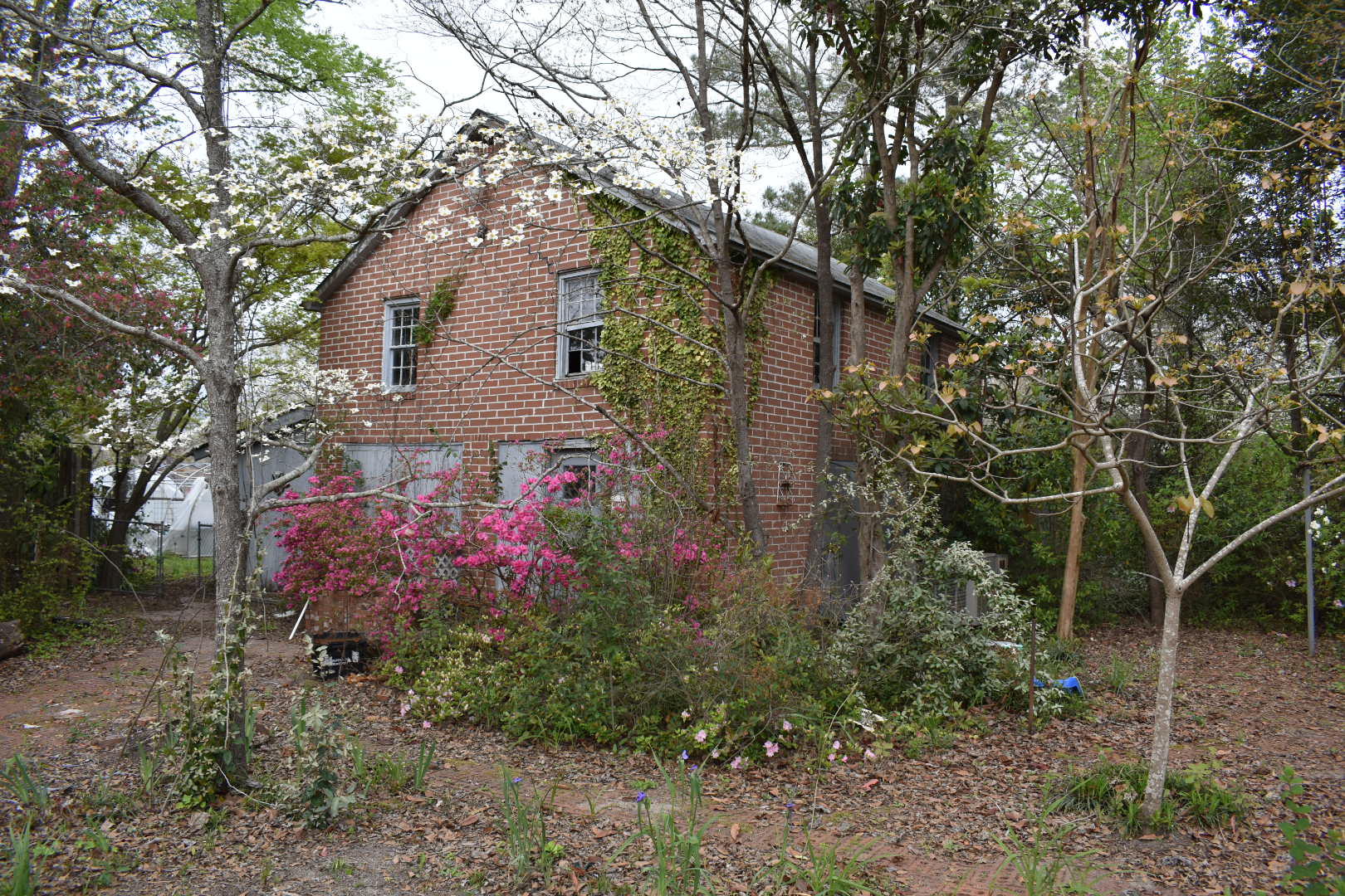 6325 Main Street Elloree, SC 29047 - Photo 4 of 8 DSC_0071