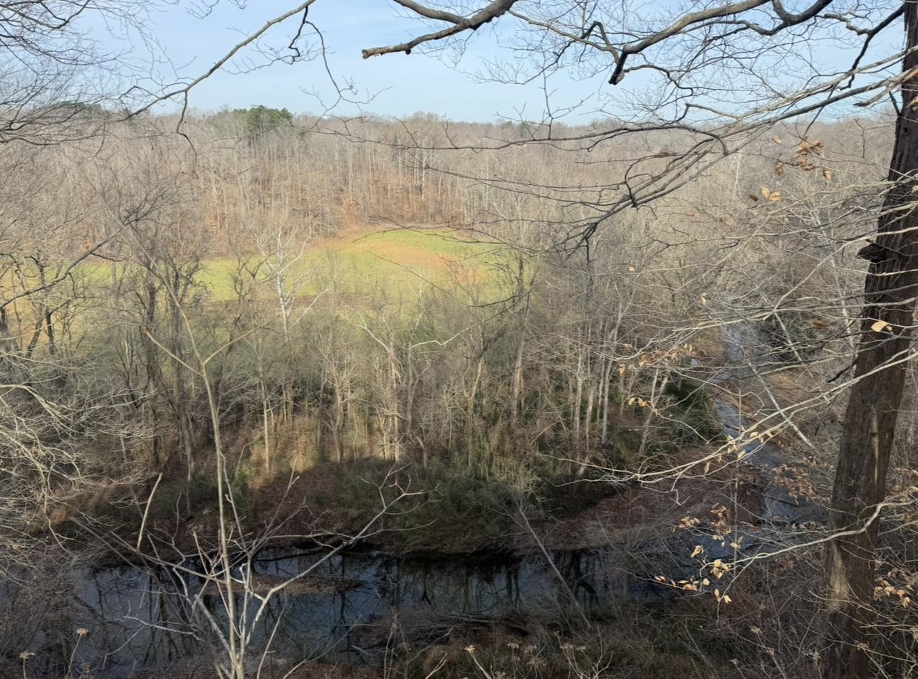 0 Sneed Road Drummonds, TN 38023 - Photo 9 of 20