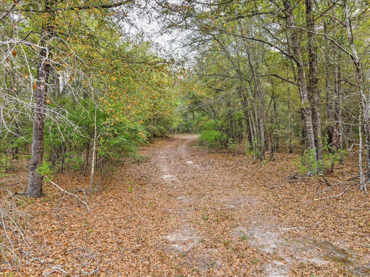 0 Millers Pond Road, Unit LOT 6 Salley, SC 29137 - Photo 4 of 12