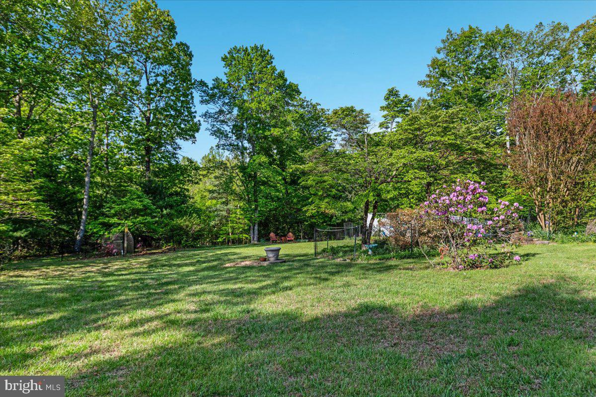146 Lizzie Mills Road Castleton, VA 22716 - Photo 63 of 91 a view of a park with trees and bushes