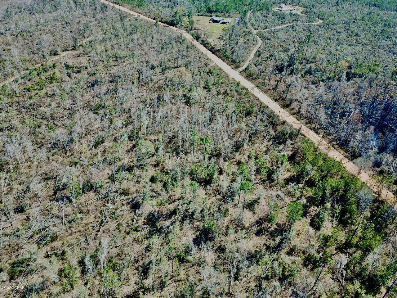 0 Swaills Road Alford, FL 32420 - Photo 8 of 9 Gallery Image 8