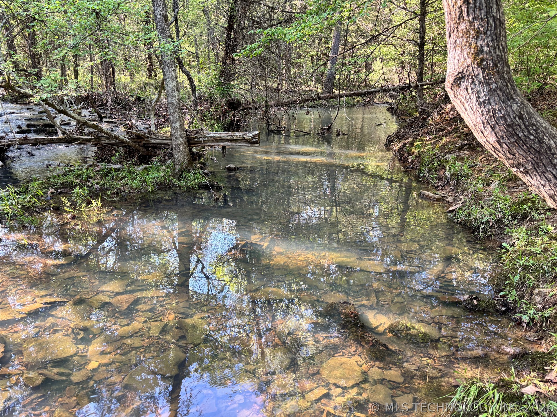 a spring fed creek flows through the property.
