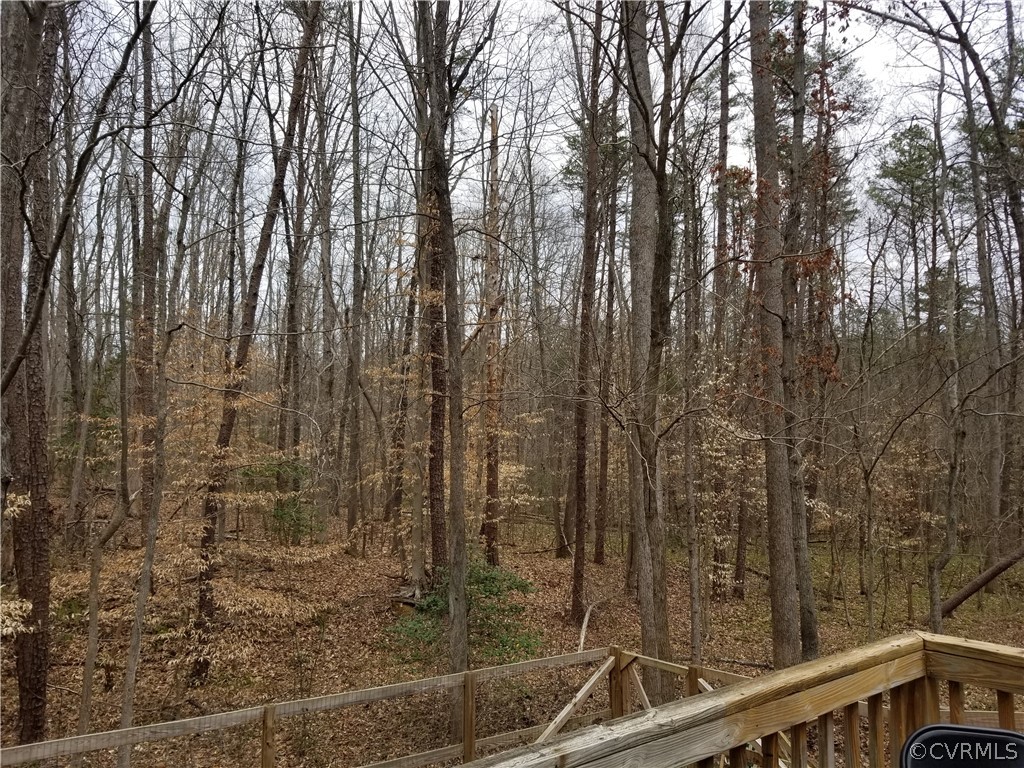 4600 River Road West Goochland, VA 23063 - Photo 14 of 16 Gallery Image 14