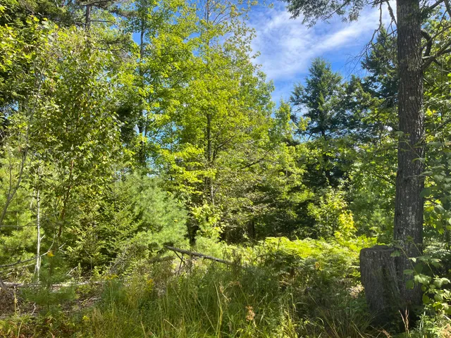 $46,000 | 0 Bald Mountain Road, Dedham, ME 04429