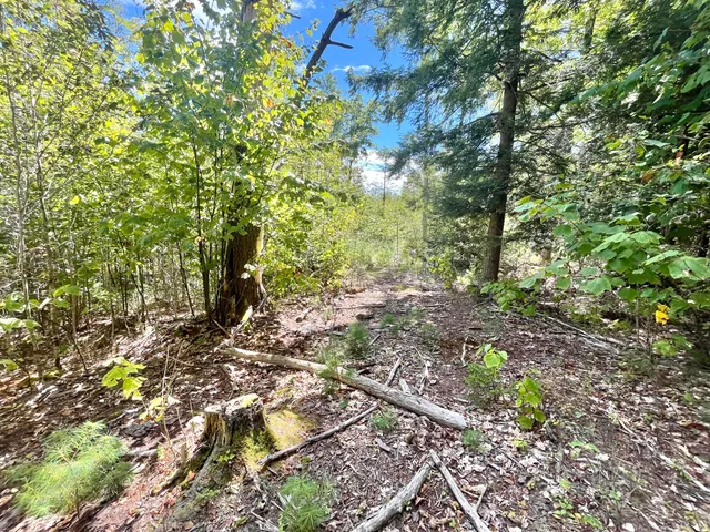 $46,000 | 0 Bald Mountain Road, Dedham, ME 04429