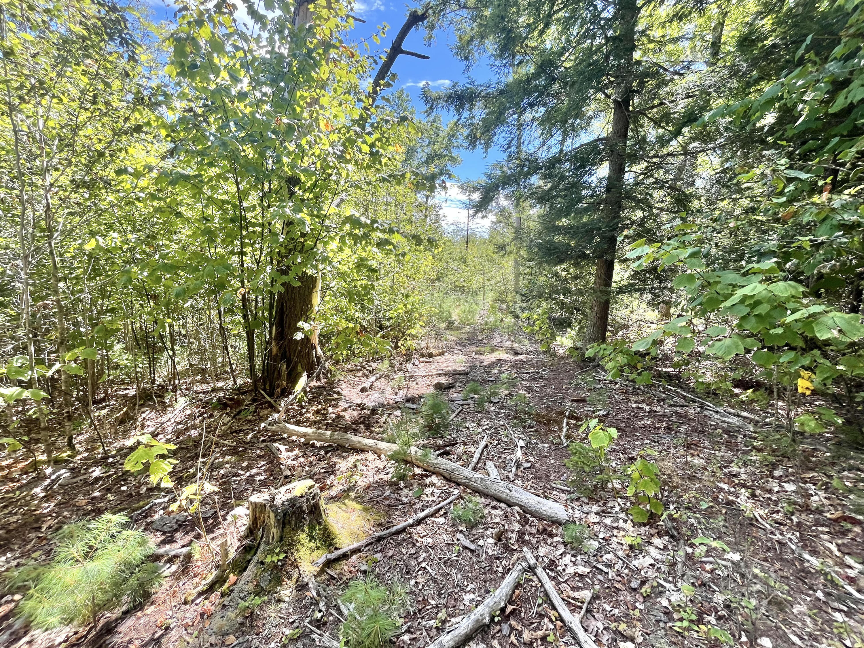 0 Bald Mountain Road Dedham, ME 04429 - Photo 4 of 7 2