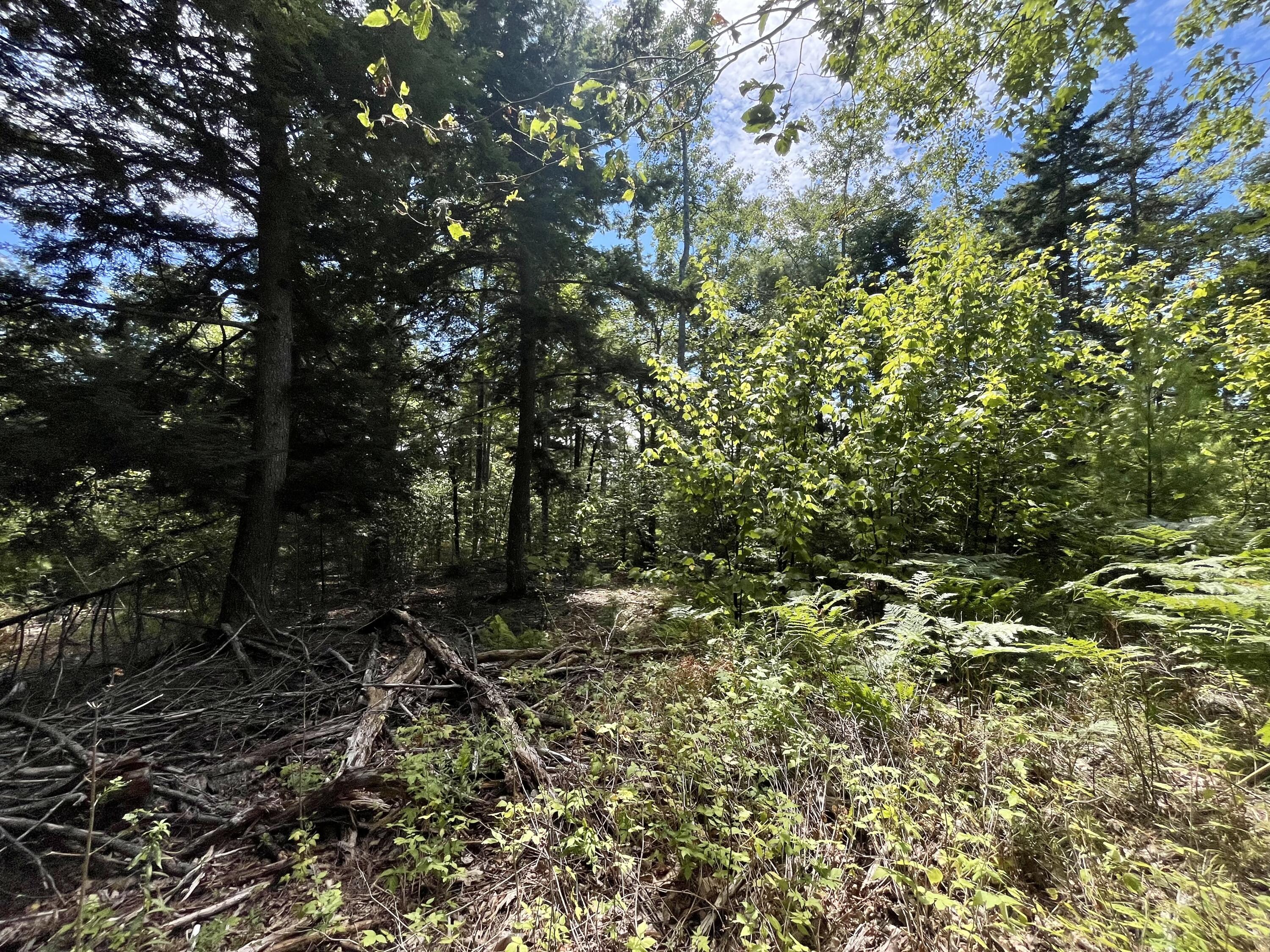 0 Bald Mountain Road Dedham, ME 04429 - Photo 5 of 7 3