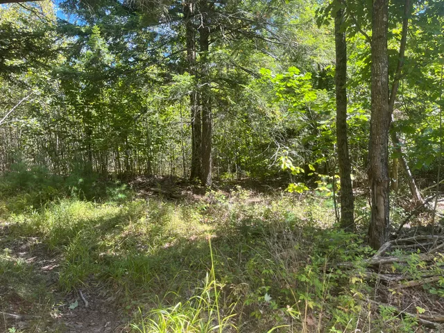 $46,000 | 0 Bald Mountain Road, Dedham, ME 04429