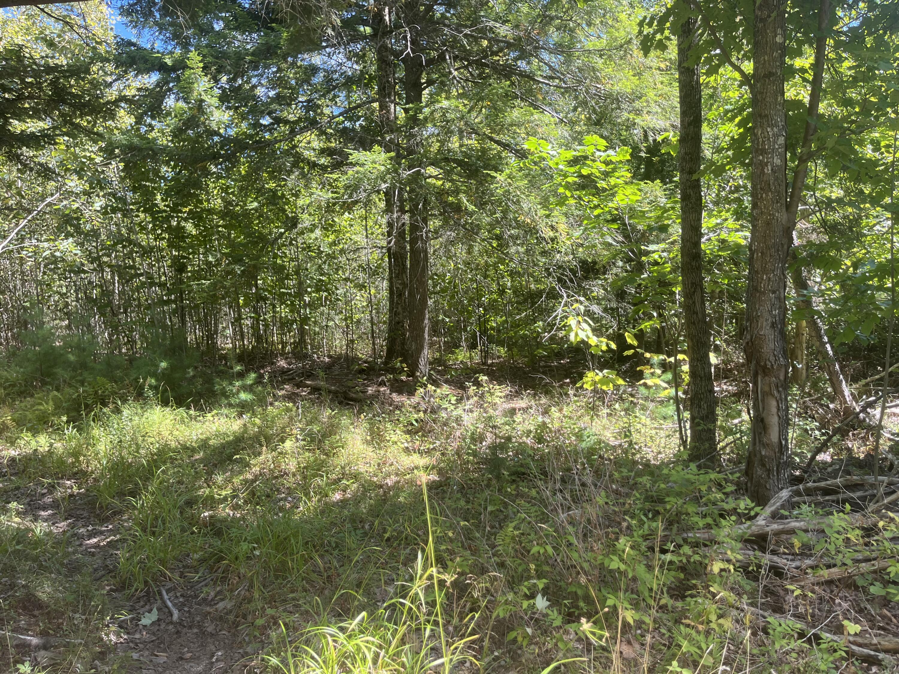 0 Bald Mountain Road Dedham, ME 04429 - Photo 6 of 7 4