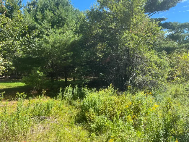 $46,000 | 0 Bald Mountain Road, Dedham, ME 04429