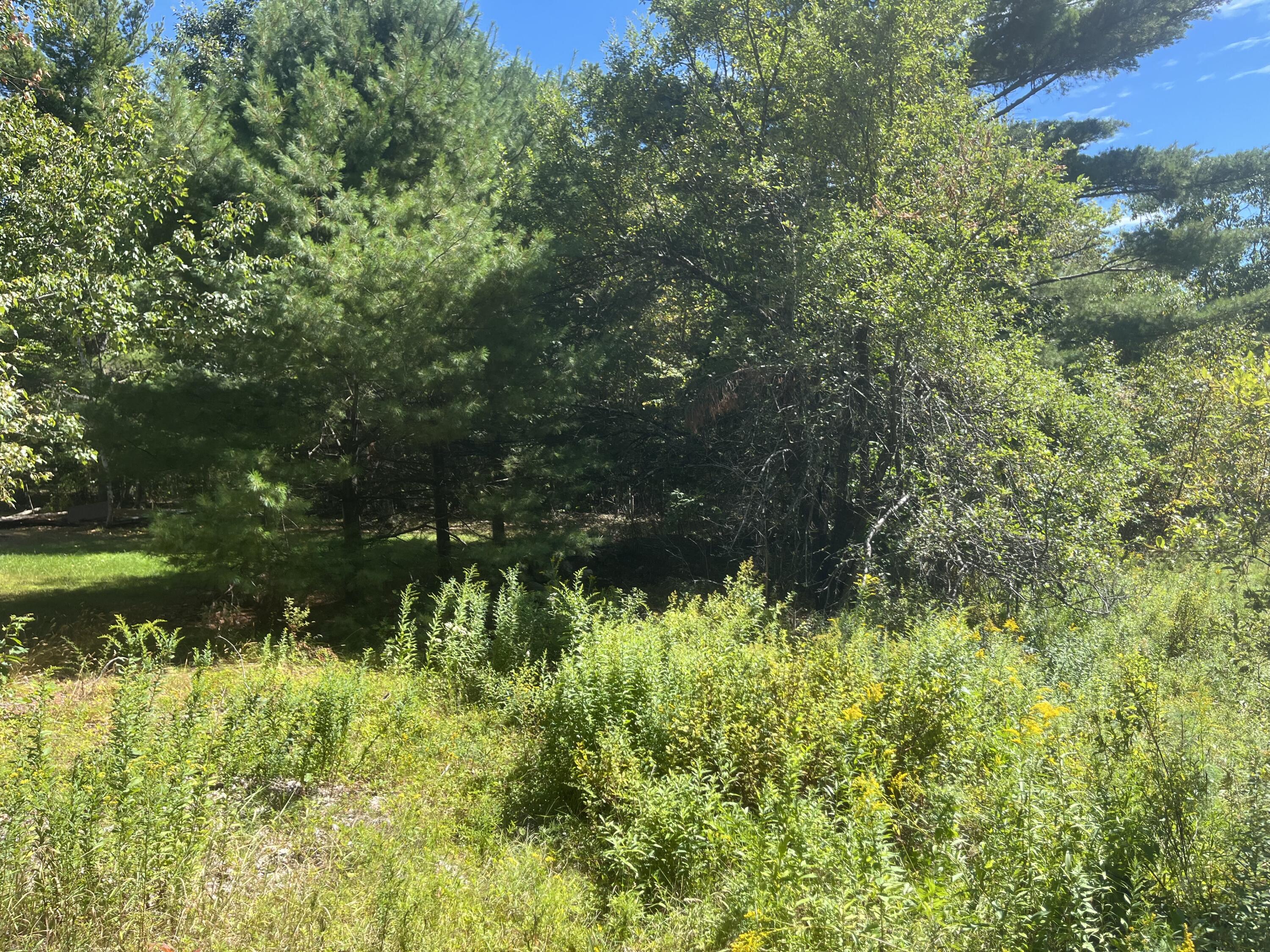 0 Bald Mountain Road Dedham, ME 04429 - Photo 7 of 7 5