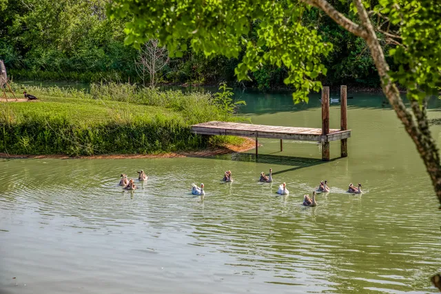 $630,000 | 10347 Pless Road, Cat Spring, TX 78933