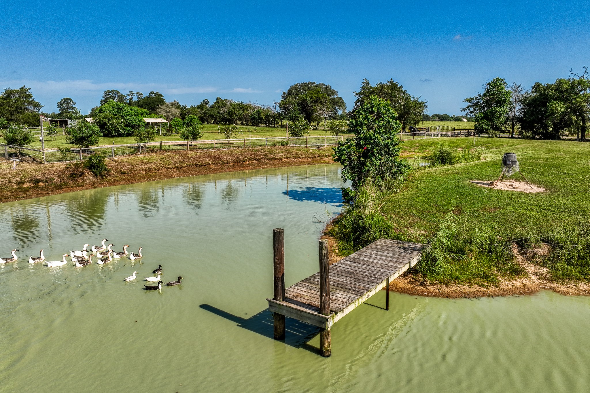 10347 Pless Road Cat Spring, TX 78933 - Photo 16 of 19 a view of a lake with a yard