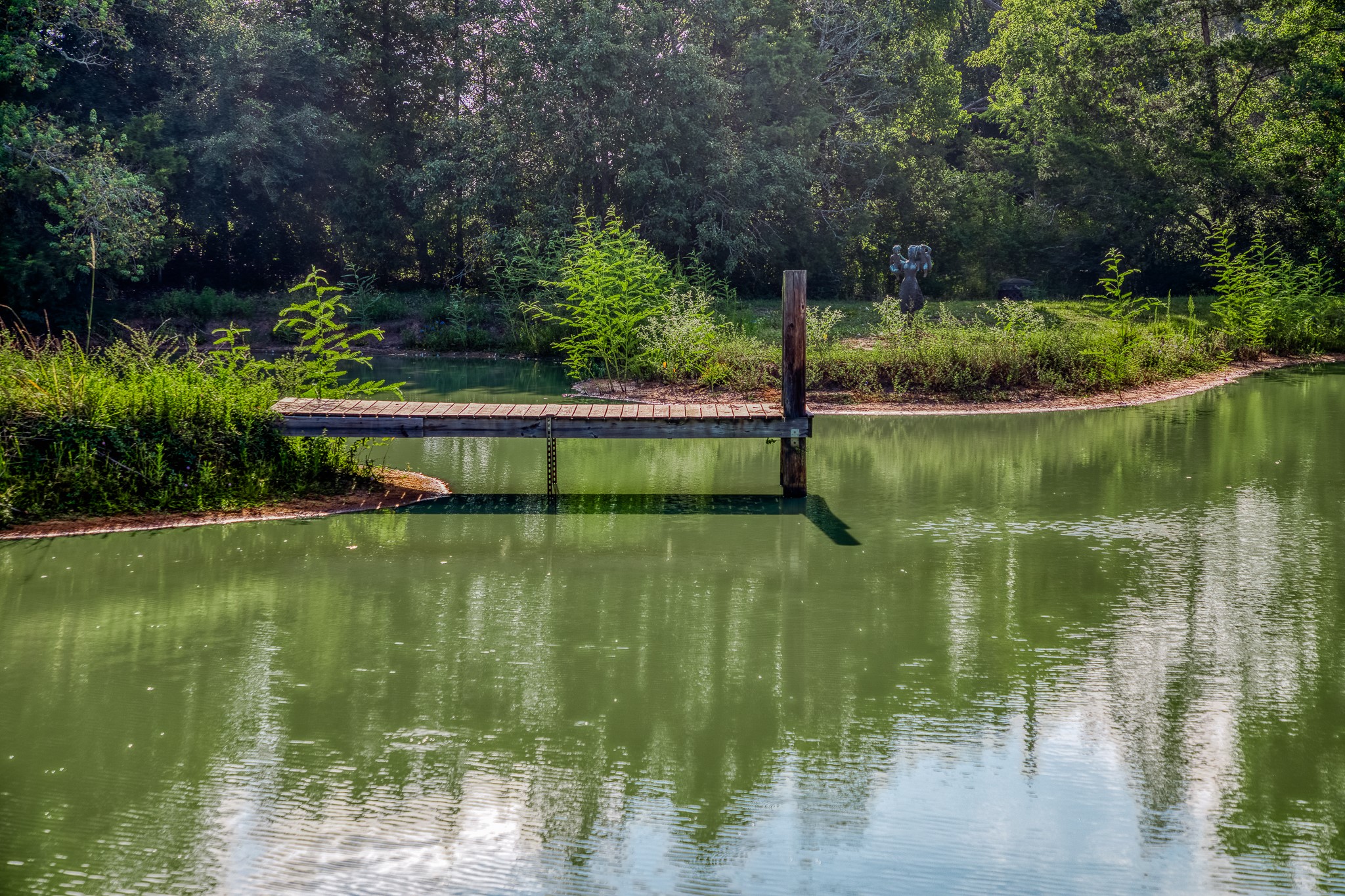 10347 Pless Road Cat Spring, TX 78933 - Photo 17 of 19 a view of lake with green space