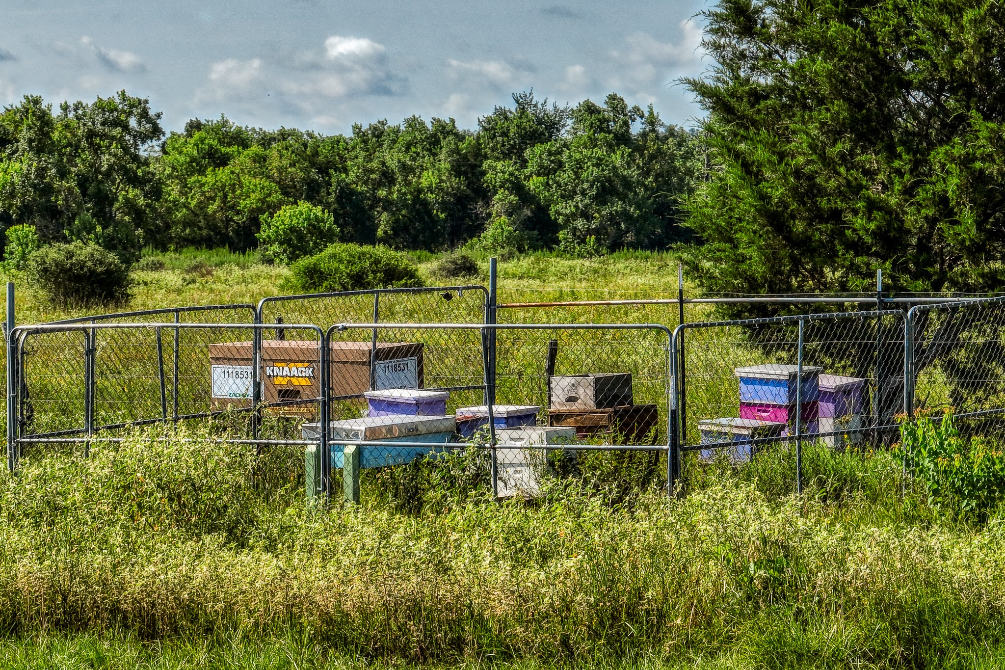 10347 Pless Road Cat Spring, TX 78933 - Photo 19 of 19 a view of a chair and table in the river