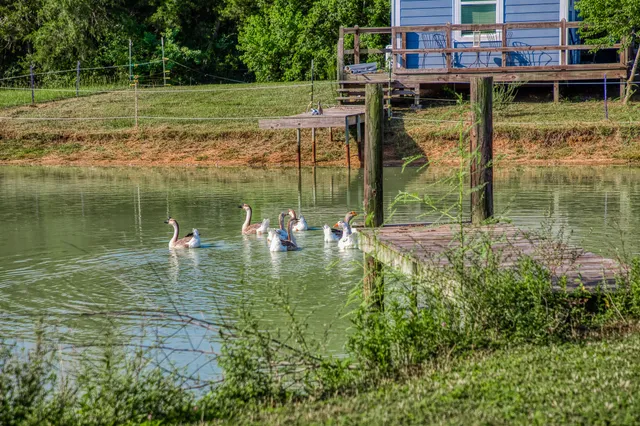 a view of a lake with a house in the background
