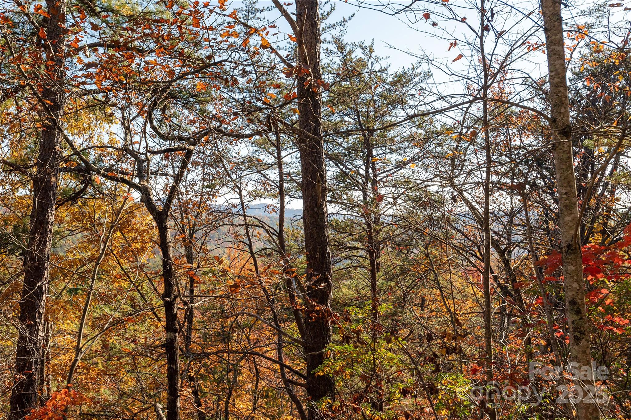 2355 Round Mountain Road Brevard, NC 28712 - Photo 23 of 27