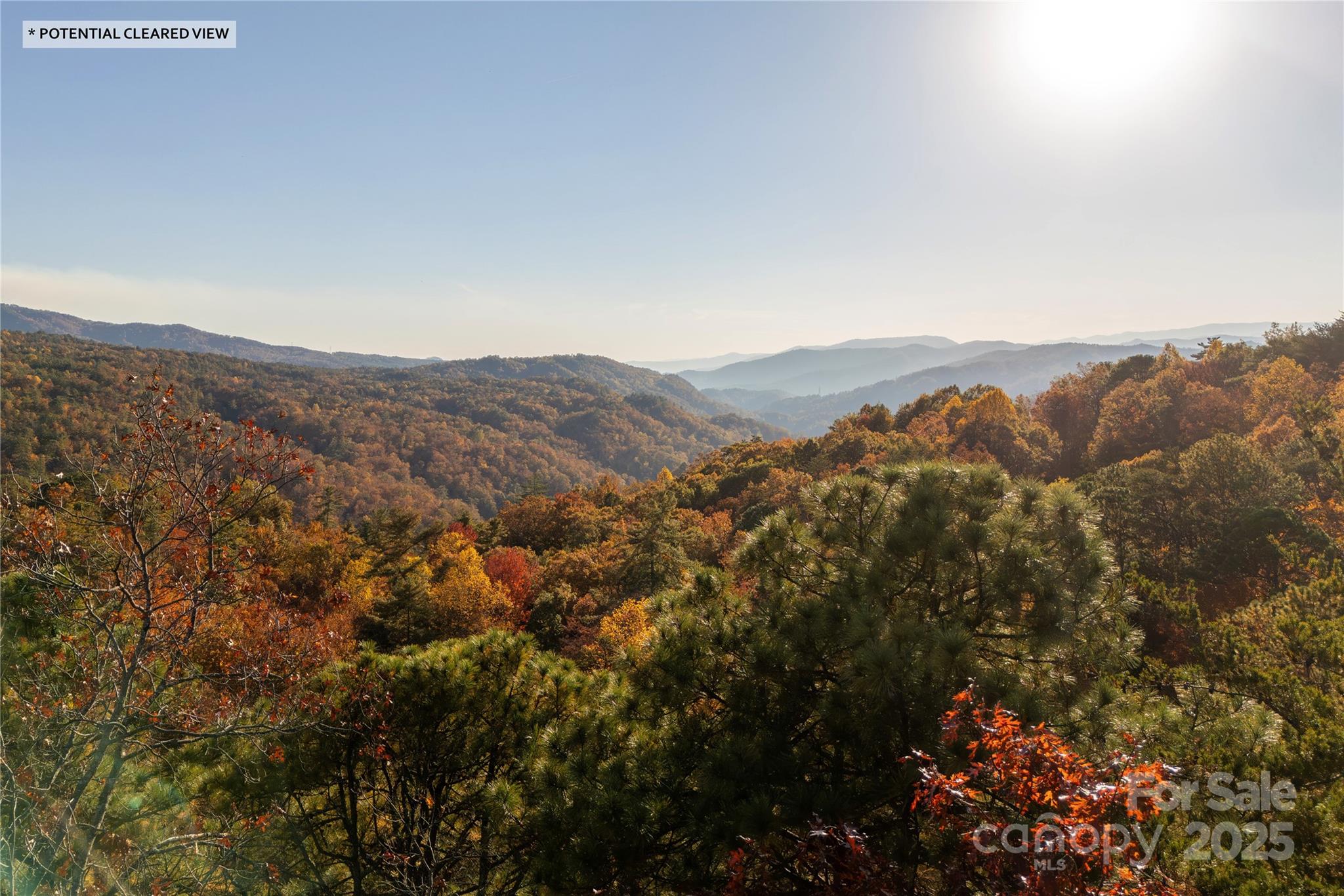 2355 Round Mountain Road Brevard, NC 28712 - Photo 24 of 27