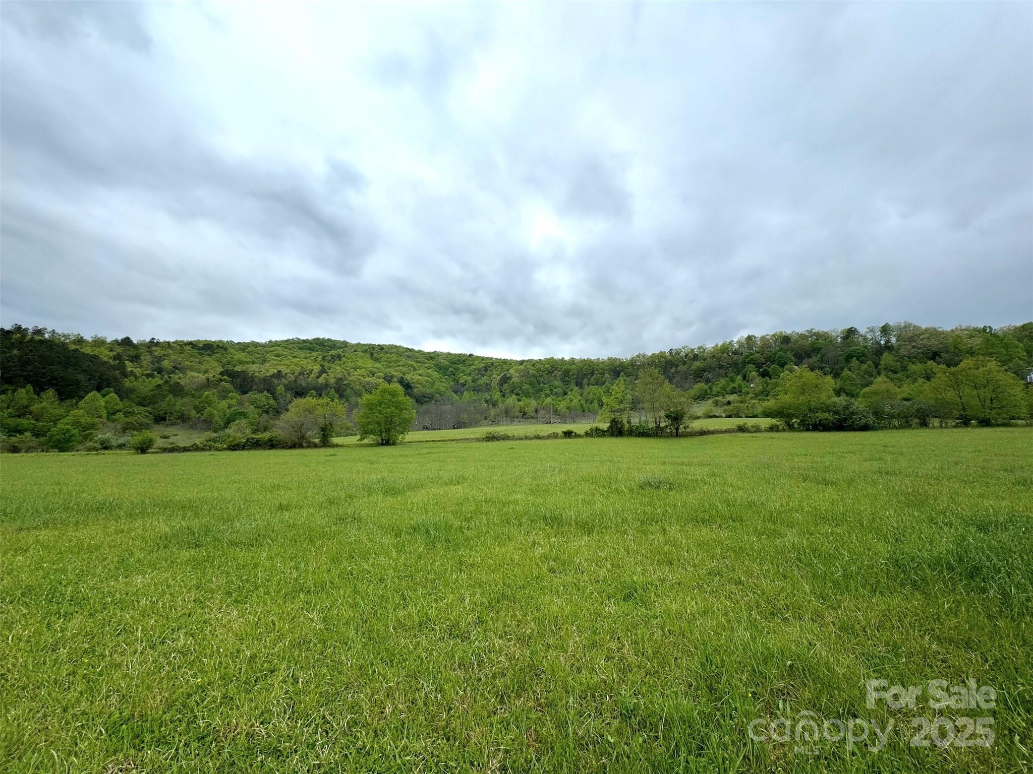 4136 Rose Creek Road Franklin, NC 28734 - Photo 14 of 37 a view of field with green space