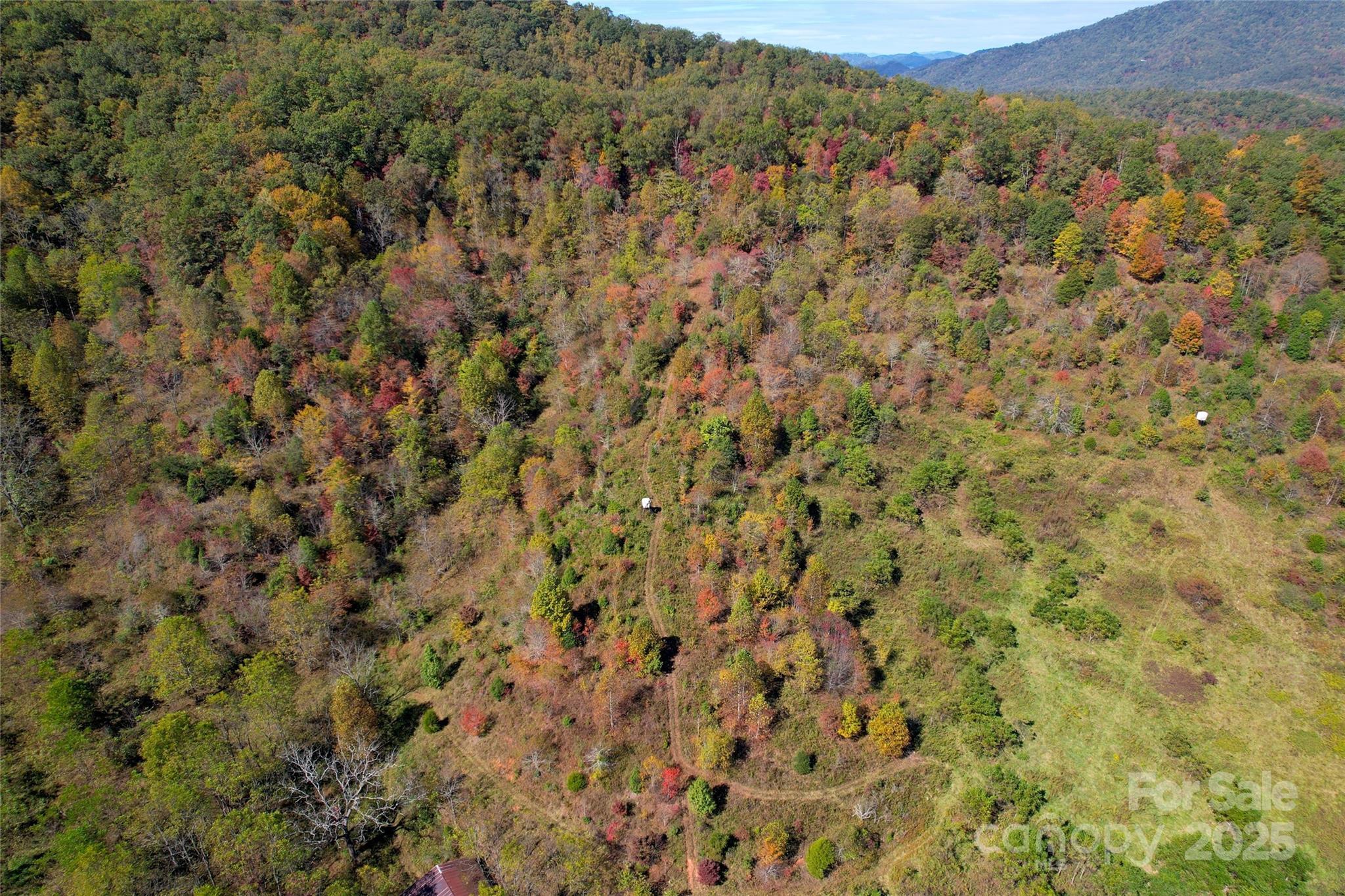4136 Rose Creek Road Franklin, NC 28734 - Photo 15 of 37