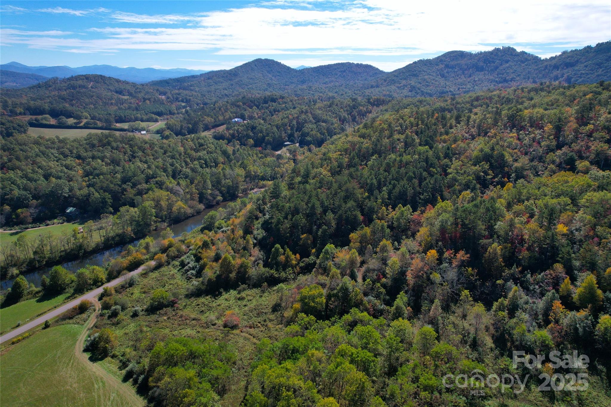 4136 Rose Creek Road Franklin, NC 28734 - Photo 19 of 37 a view of a lush green hillside and houses