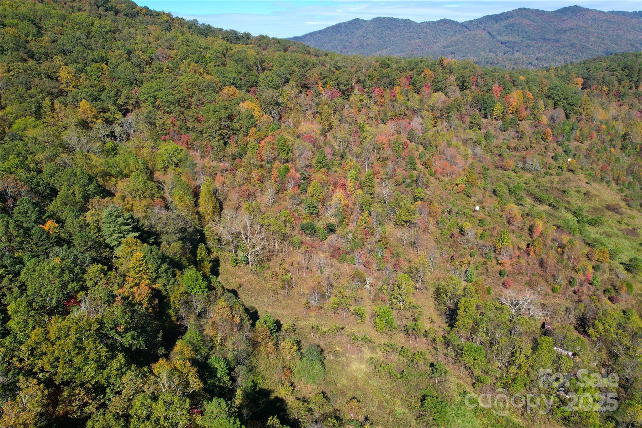 4136 Rose Creek Road Franklin, NC 28734 - Photo 20 of 37 a view of a lush green field with a mountain in the background