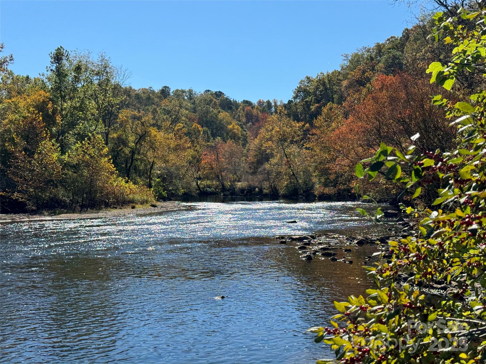 4136 Rose Creek Road Franklin, NC 28734 - Photo 2 of 37 a view of a yard
