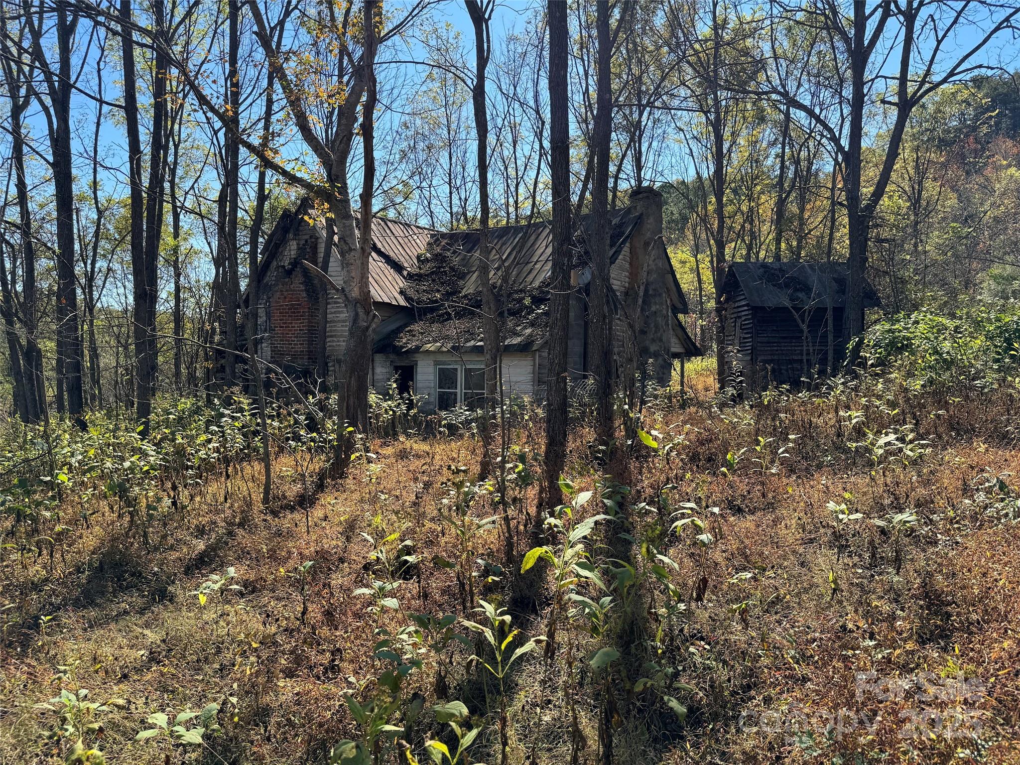 4136 Rose Creek Road Franklin, NC 28734 - Photo 26 of 37 a backyard of a house with lots of green space