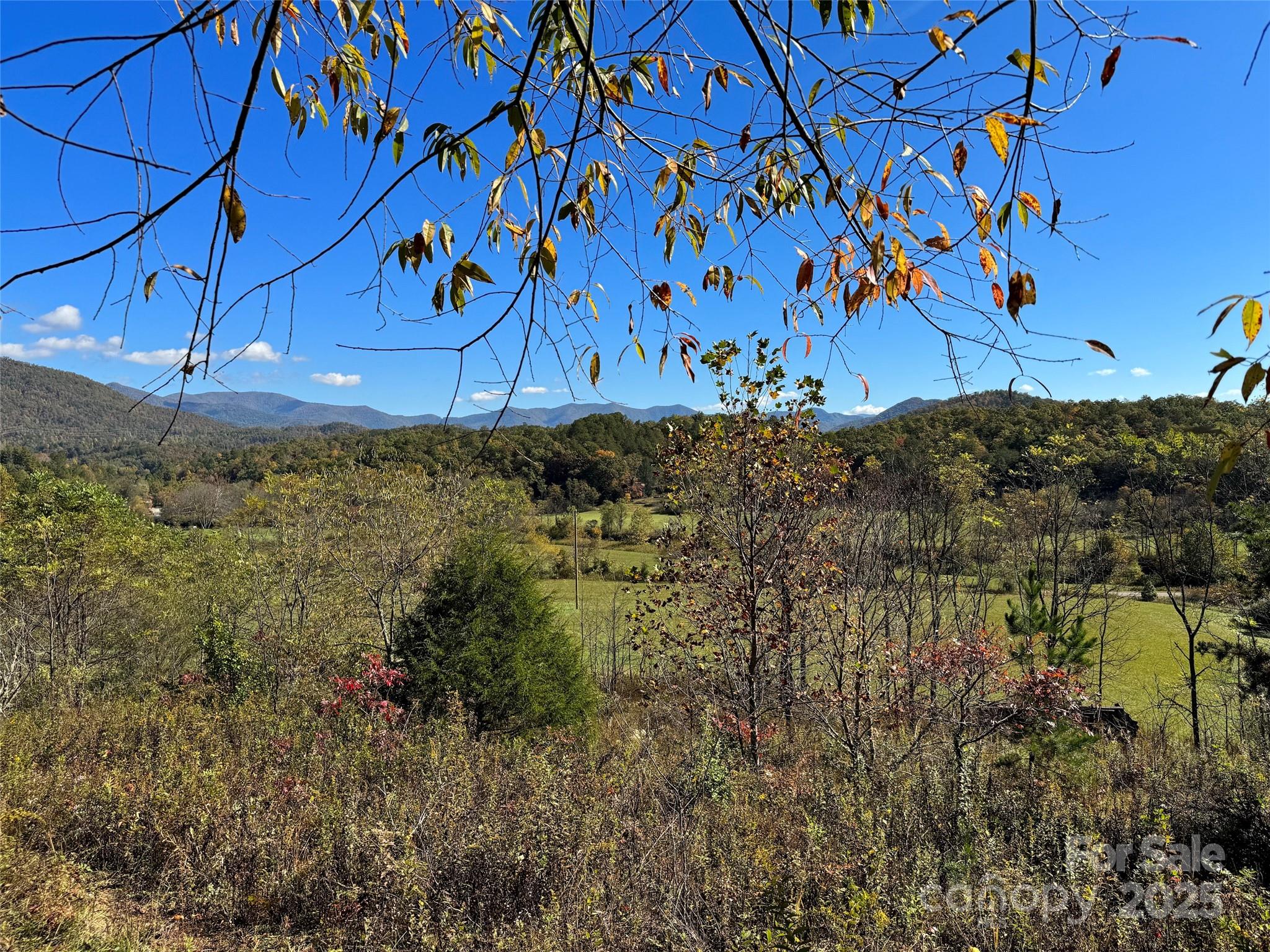 4136 Rose Creek Road Franklin, NC 28734 - Photo 28 of 37 a view of a yard
