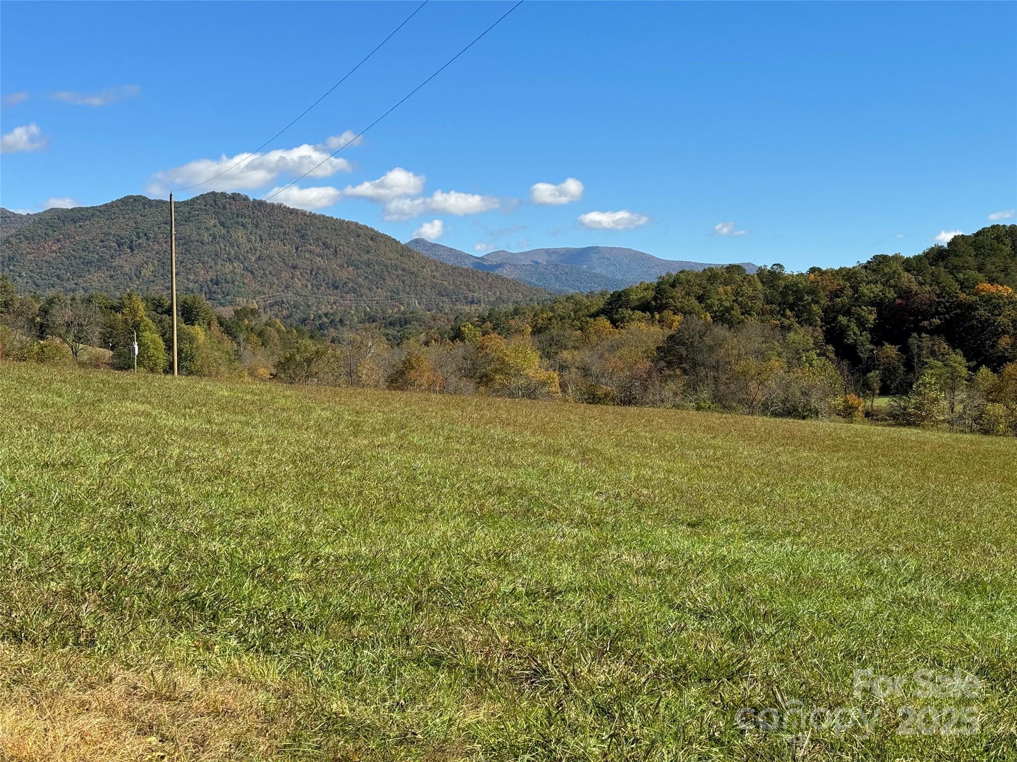 4136 Rose Creek Road Franklin, NC 28734 - Photo 29 of 37 a view of a lush green hillside and a building
