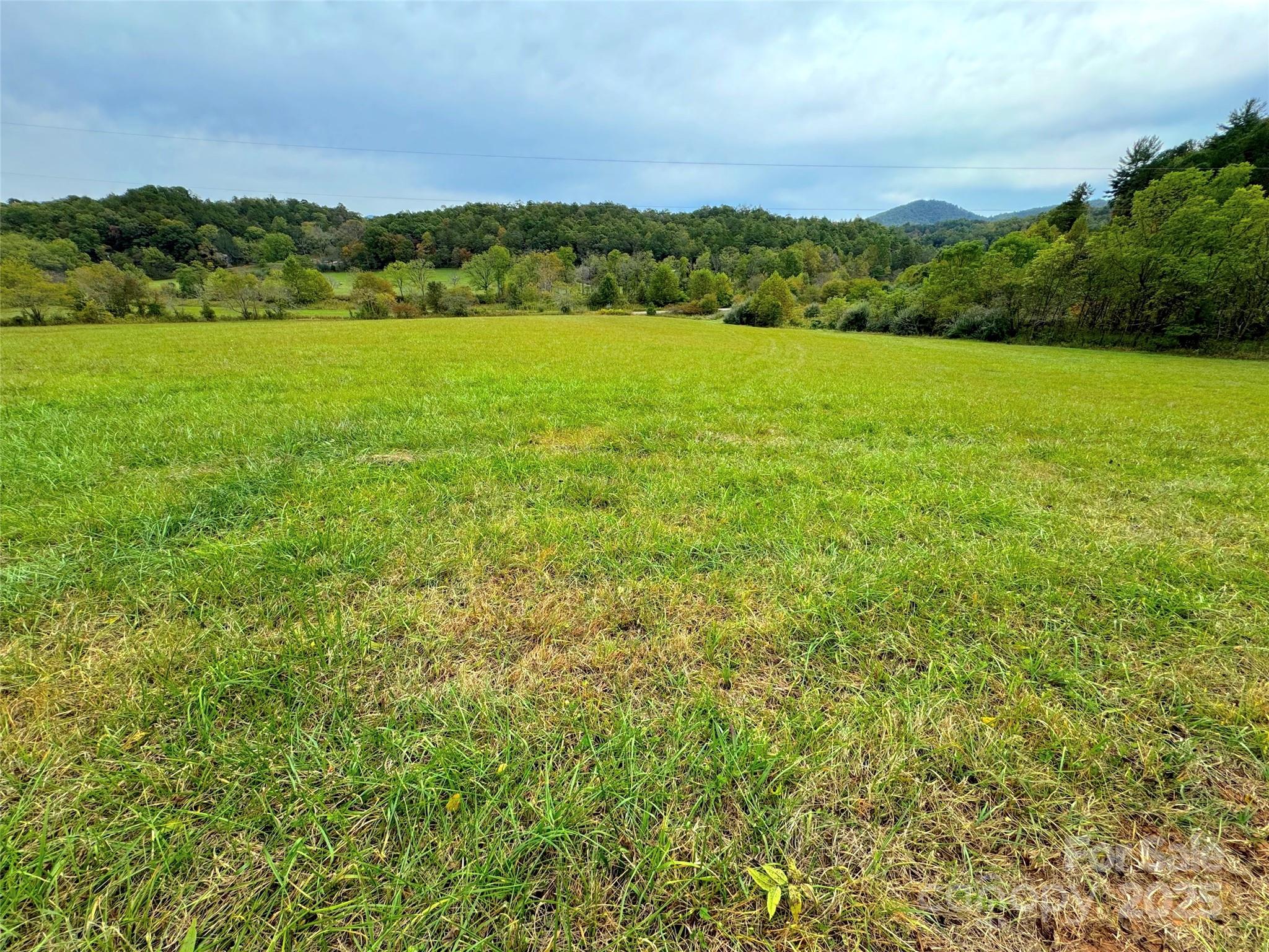 4136 Rose Creek Road Franklin, NC 28734 - Photo 33 of 37 a view of an outdoor space and a yard