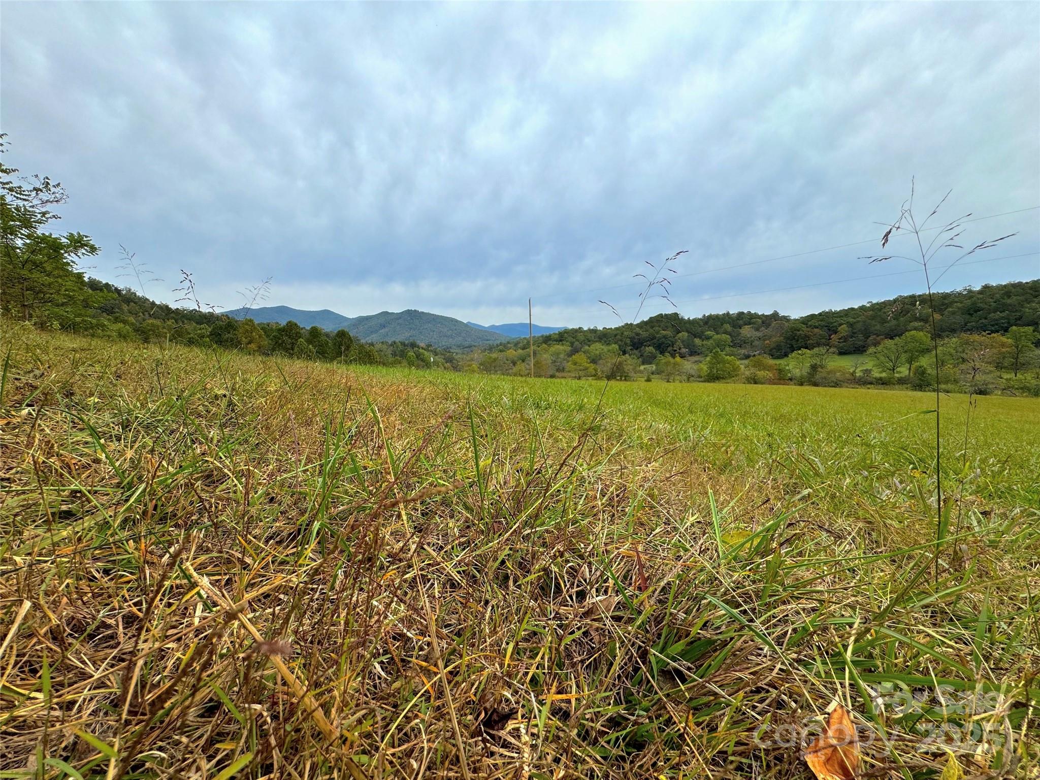 4136 Rose Creek Road Franklin, NC 28734 - Photo 34 of 37