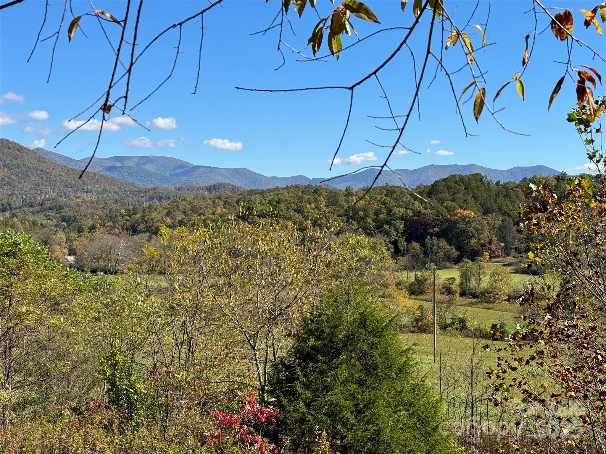 4136 Rose Creek Road Franklin, NC 28734 - Photo 4 of 37 a view of a back yard