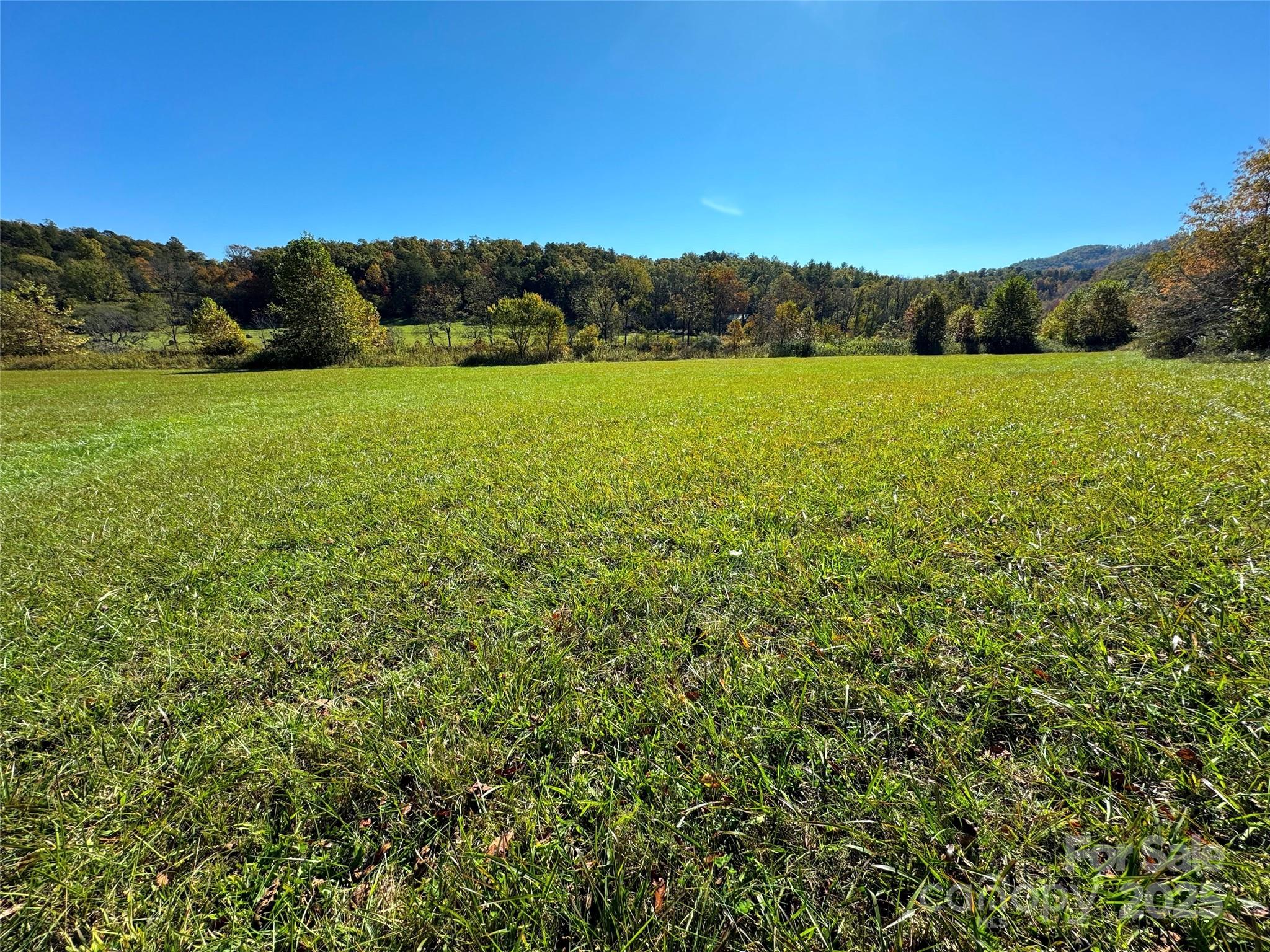 4136 Rose Creek Road Franklin, NC 28734 - Photo 6 of 37 a view of a field with an ocean and trees