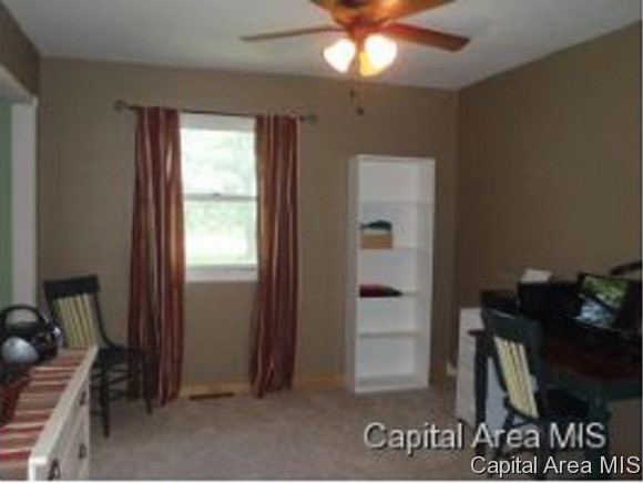 17030 River View Road Petersburg, IL 62675 - Photo 13 of 15 Gallery Image 13