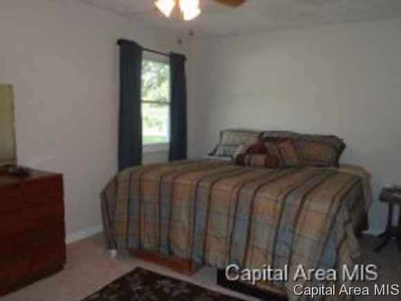 17030 River View Road Petersburg, IL 62675 - Photo 10 of 15 Gallery Image 10