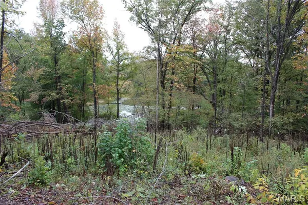 $24,500 | 0 Tomaro Trail, Poplar Bluff, MO 63901