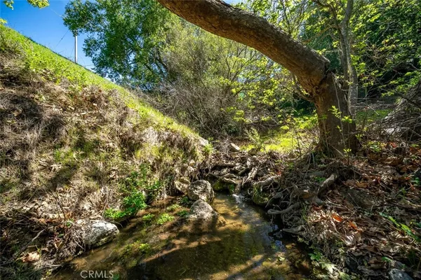 a view of a yard with a tree