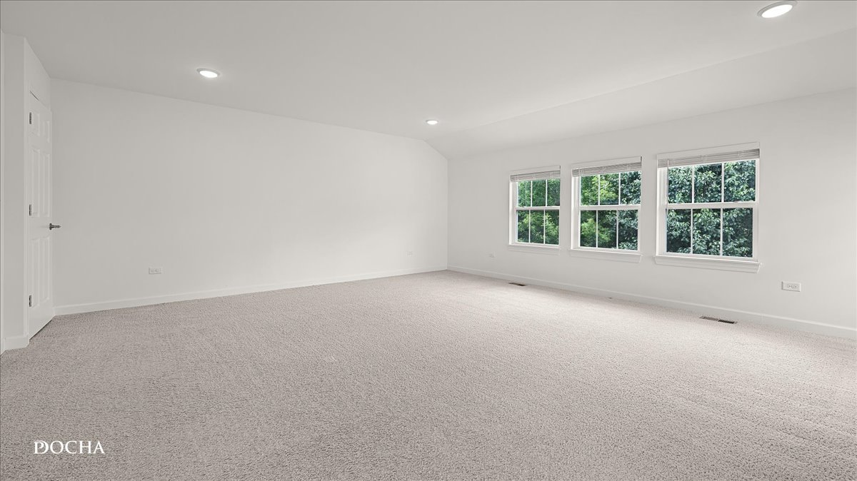 4335 Little Leaf Road Naperville, IL 60564 - Photo 38 of 53