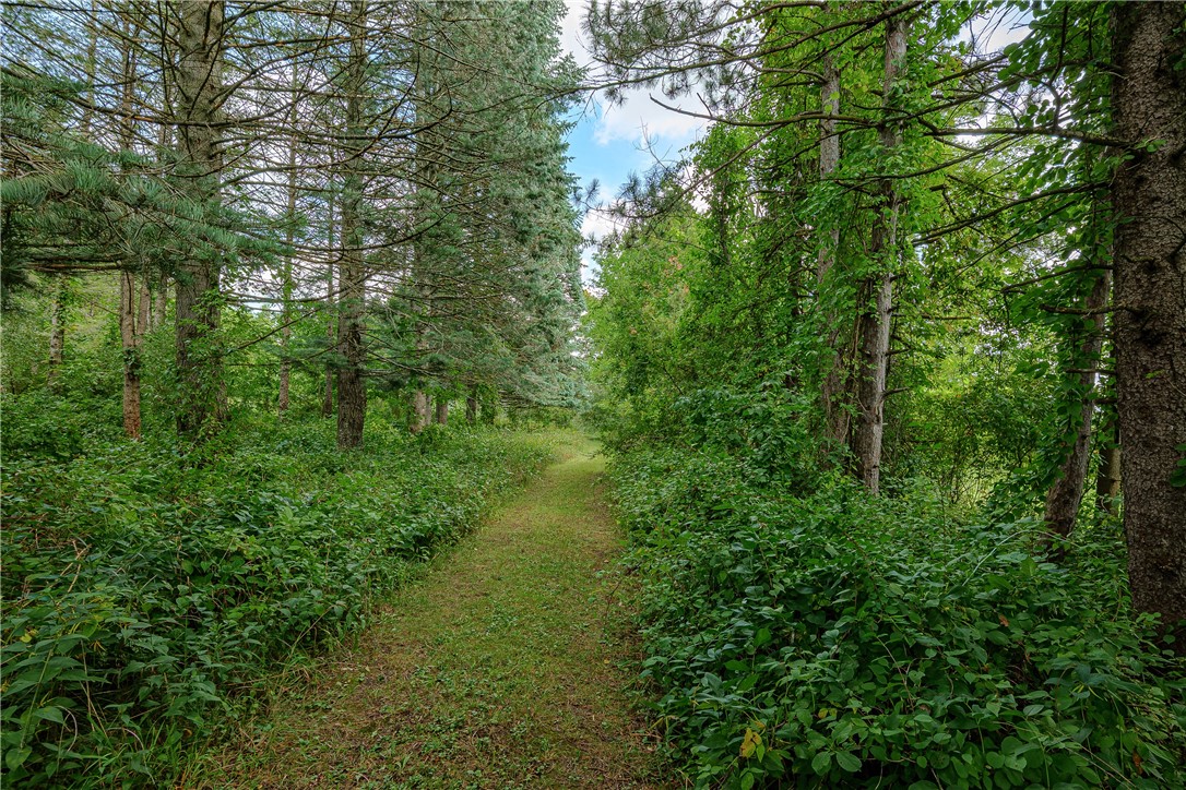 633 West Bloomfield Road Mendon, NY 14534 - Photo 46 of 50 Gallery Image 46