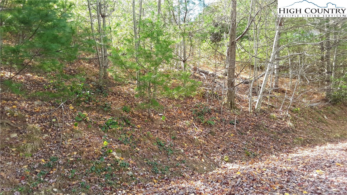 Brown Stone Ridge Drive Boone, NC 28607 - Photo 11 of 24