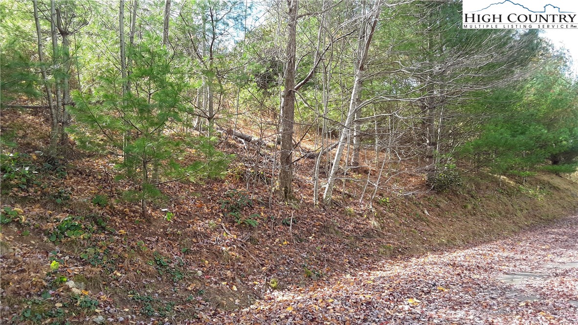 Brown Stone Ridge Drive Boone, NC 28607 - Photo 12 of 24