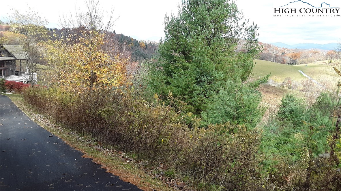 Brown Stone Ridge Drive Boone, NC 28607 - Photo 13 of 24