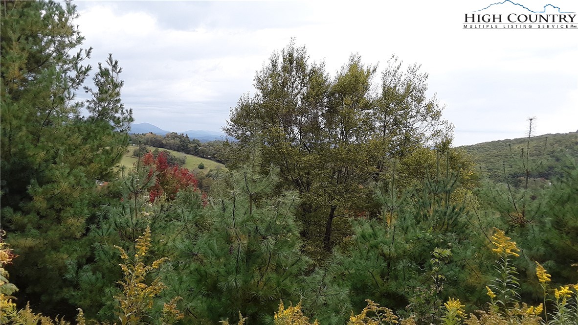 Brown Stone Ridge Drive Boone, NC 28607 - Photo 14 of 24